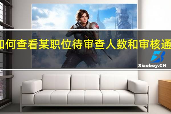 如何查看某职位待审查人数和审核通过人数