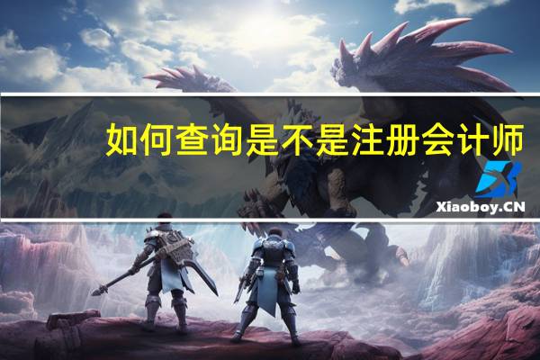 如何查询是不是注册会计师