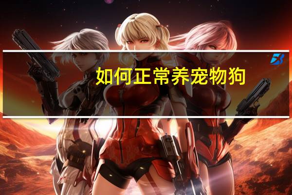 如何正常养宠物狗