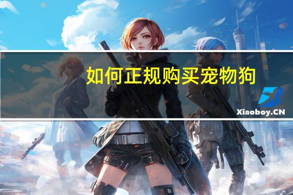 如何正规购买宠物狗