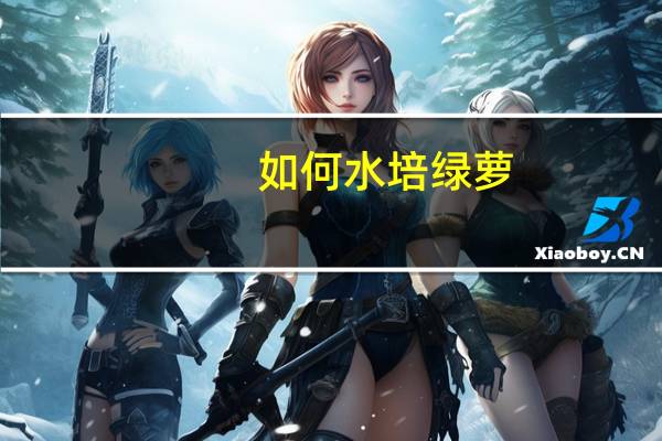 如何水培绿萝