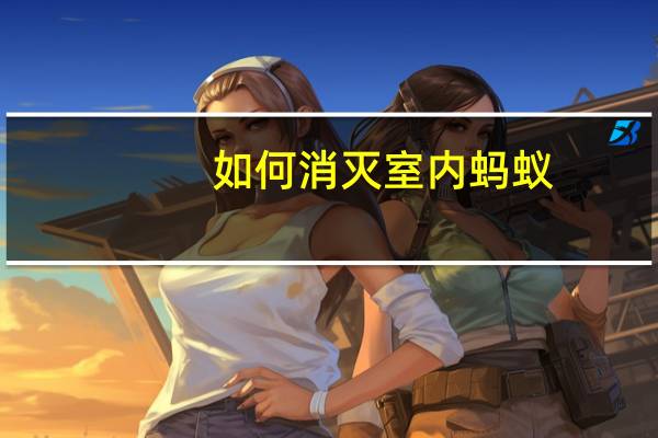 如何消灭室内蚂蚁
