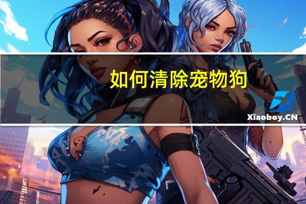 如何清除宠物狗