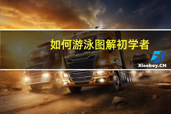 如何游泳图解初学者（如何游泳）