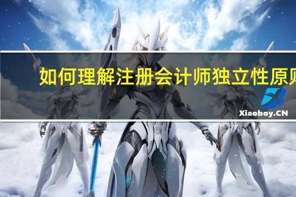 如何理解注册会计师独立性原则