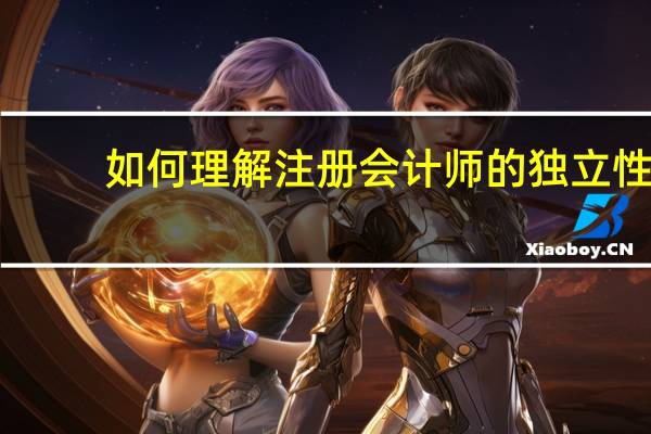 如何理解注册会计师的独立性