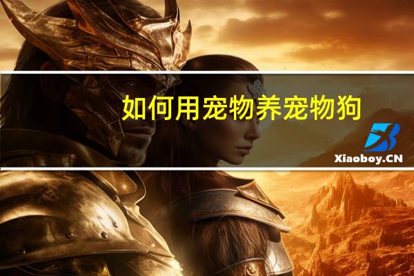 如何用宠物养宠物狗