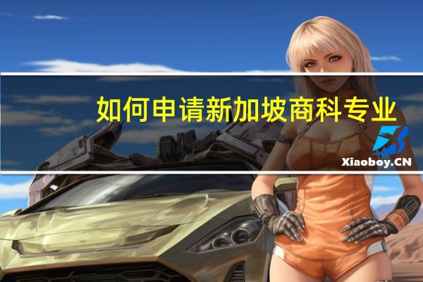 如何申请新加坡商科专业