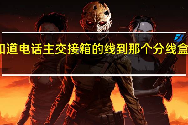 如何知道电话主交接箱的线到那个分线盒里的那条线