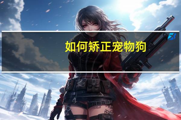 如何矫正宠物狗