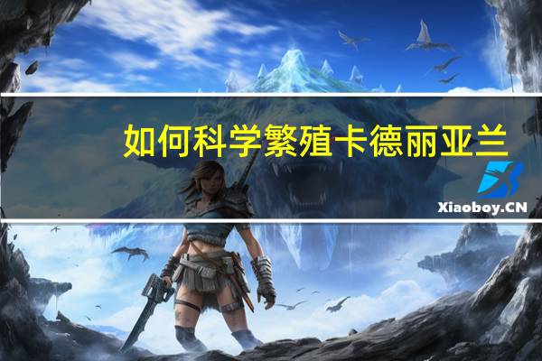 如何科学繁殖卡德丽亚兰