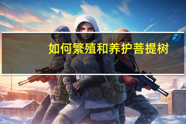 如何繁殖和养护菩提树
