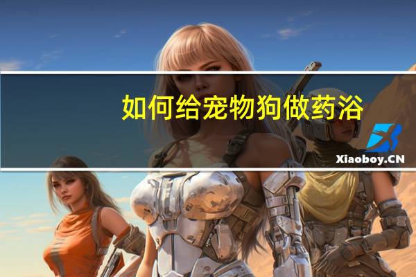 如何给宠物狗做药浴