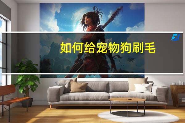 如何给宠物狗刷毛