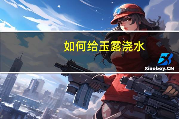 如何给玉露浇水：结合植物的状态来浇水才是最主要的