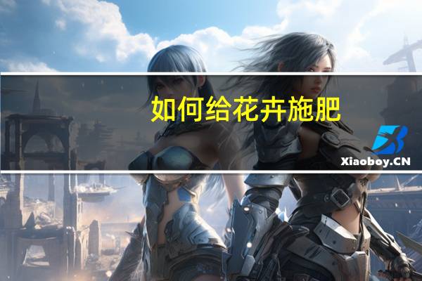 如何给花卉施肥