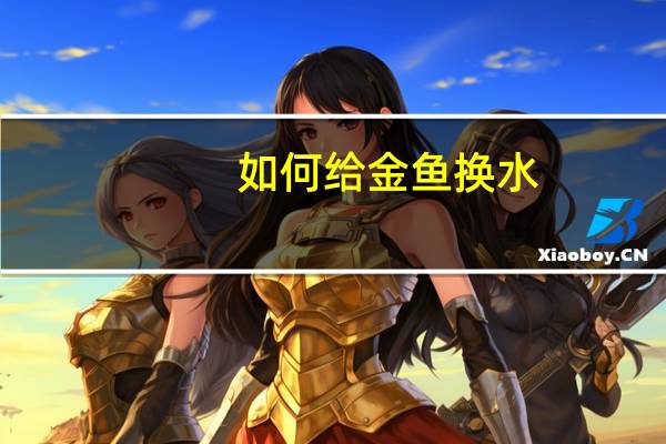 如何给金鱼换水