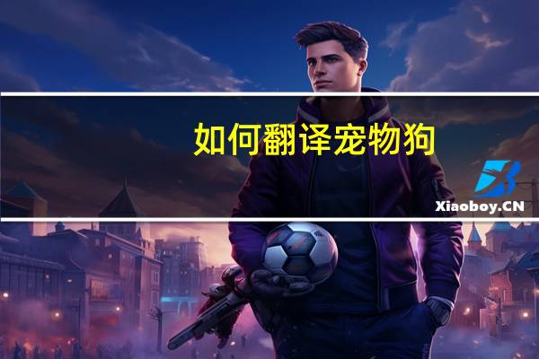 如何翻译宠物狗