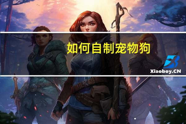 如何自制宠物狗