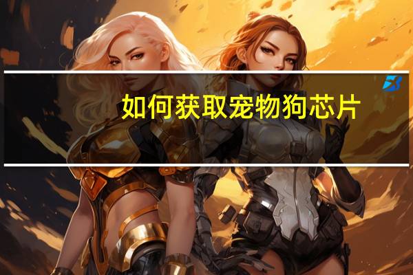 如何获取宠物狗芯片