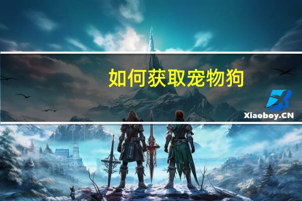 如何获取宠物狗