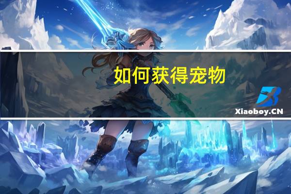 如何获得宠物