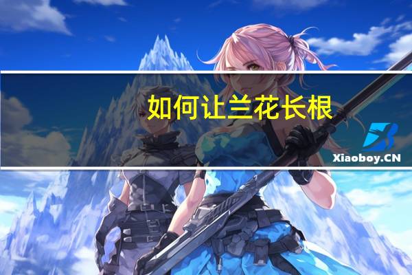 如何让兰花长根