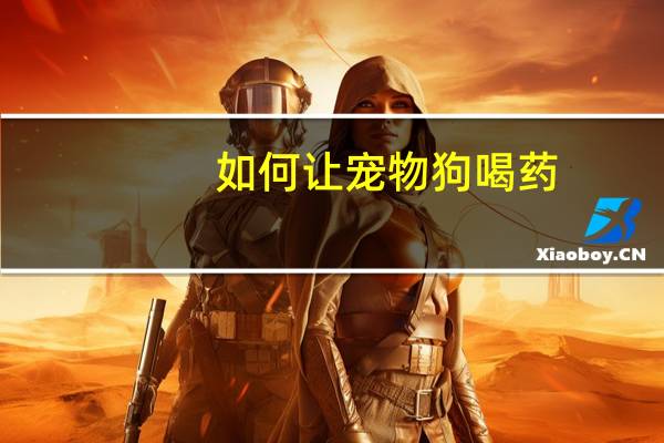如何让宠物狗喝药
