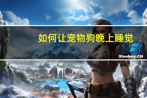 如何让宠物狗晚上睡觉