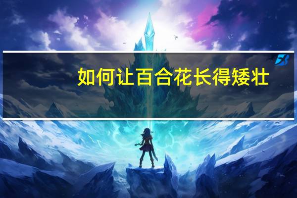 如何让百合花长得矮壮
