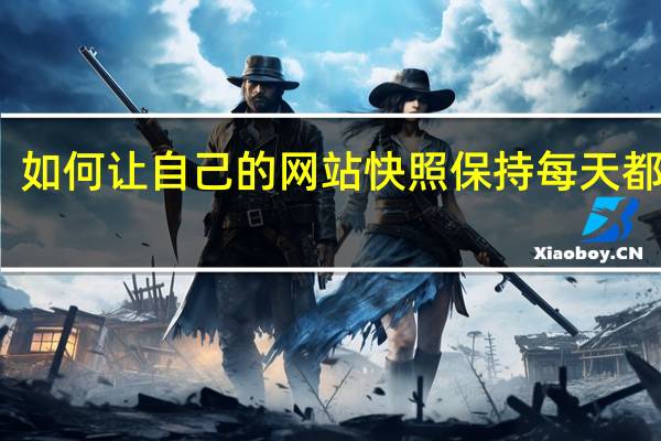 如何让自己的网站快照保持每天都更新