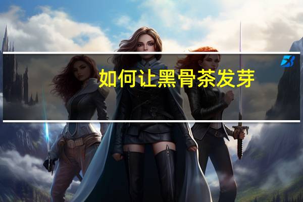 如何让黑骨茶发芽