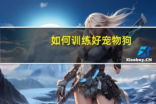 如何训练好宠物狗