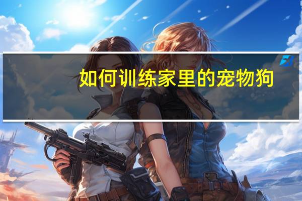 如何训练家里的宠物狗