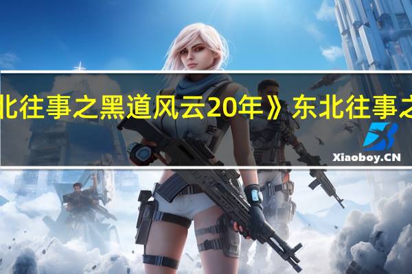 如何评价《东北往事之黑道风云20年》 东北往事之黑道风云20年19集