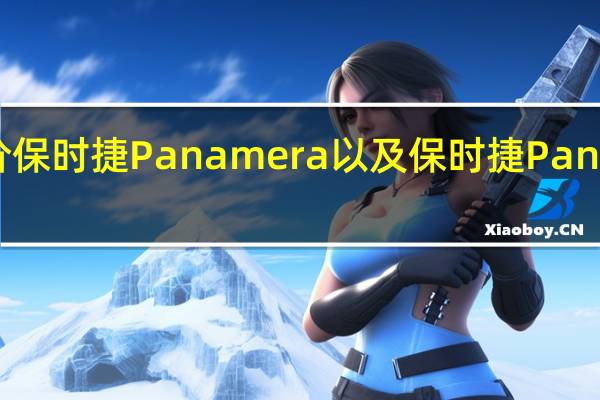 如何评价保时捷Panamera以及保时捷Panamera的性能?