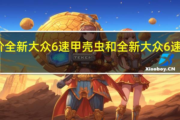 如何评价全新大众6速甲壳虫和全新大众6速甲壳虫的配置？