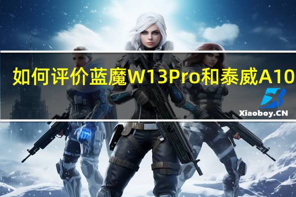 如何评价蓝魔W13Pro和泰威A10双核？