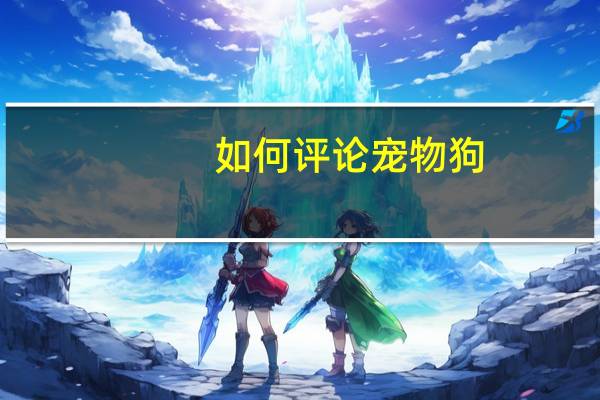 如何评论宠物狗