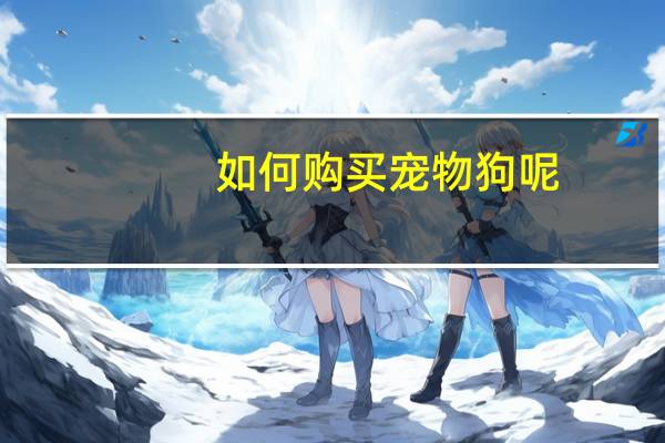 如何购买宠物狗呢