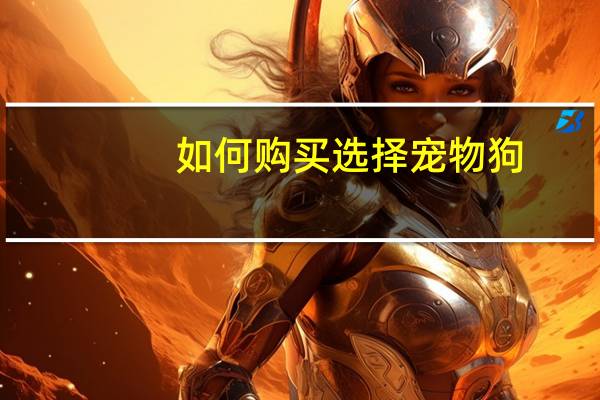 如何购买选择宠物狗