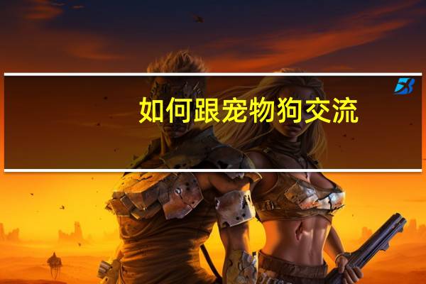 如何跟宠物狗交流