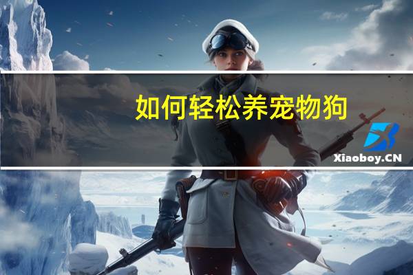 如何轻松养宠物狗