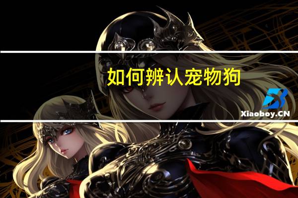 如何辨认宠物狗