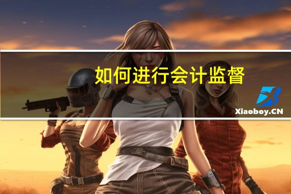 如何进行会计监督