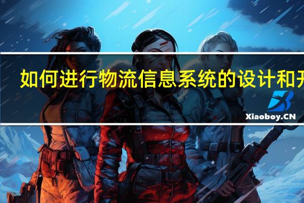 如何进行物流信息系统的设计和开发