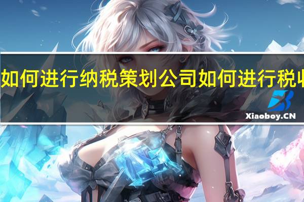 如何进行纳税策划 公司如何进行税收筹划