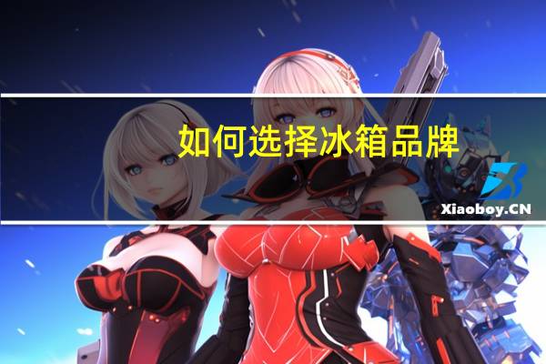 如何选择冰箱品牌（如何选择冰箱）