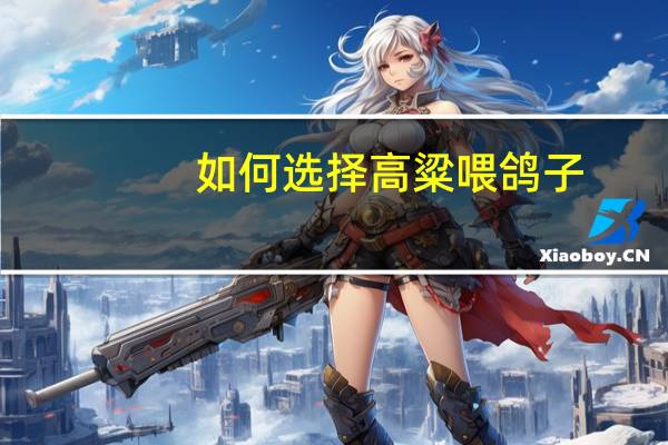 如何选择高粱喂鸽子