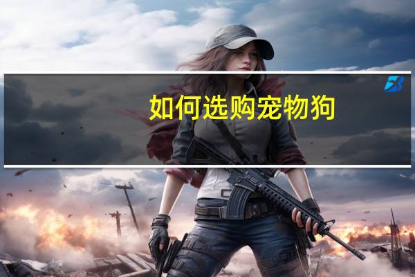 如何选购宠物狗